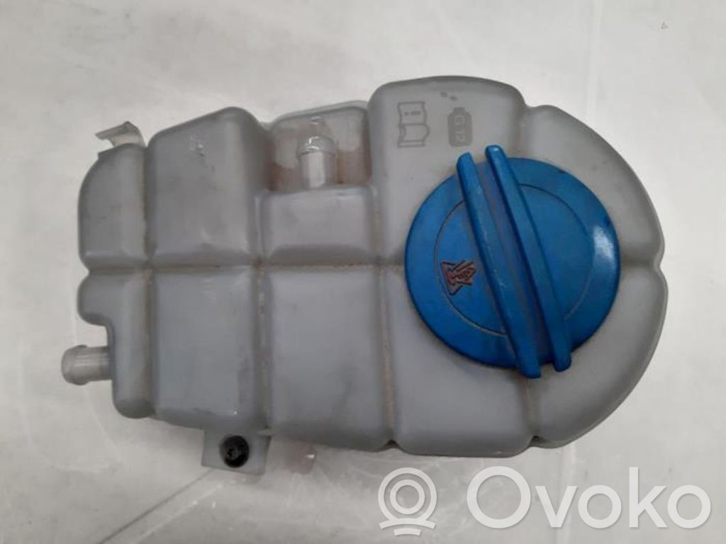 Audi RS6 C7 Vas expansiune/rezervor lichid de răcire 
