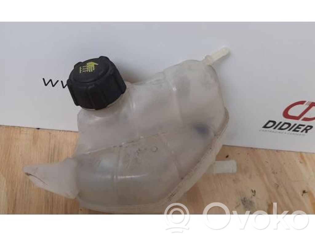 Nissan Qashqai Serbatoio di compensazione del liquido refrigerante/vaschetta 