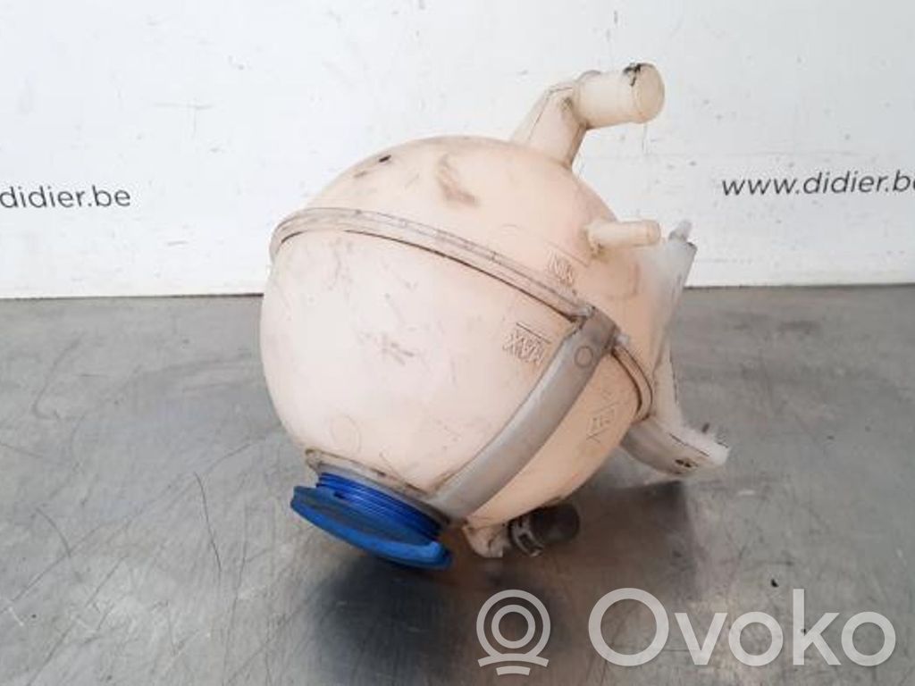 Volkswagen Crafter Zbiornik wyrównawczy chłodziwa 