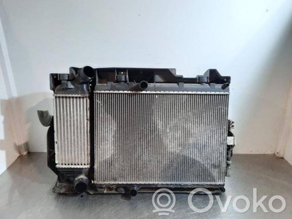 Peugeot 407 Kit Radiateur 