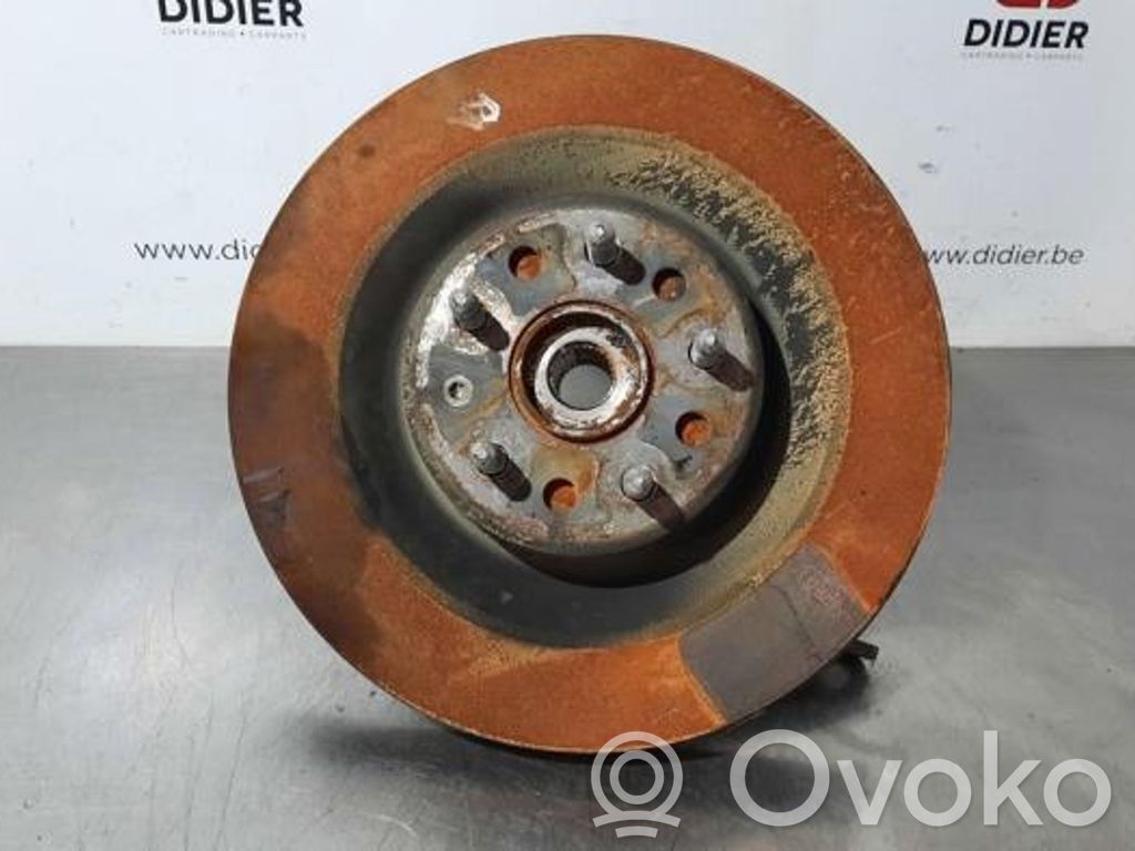 Tesla Model S Aizmugurē riteņa rumbas vārpstas šarnīrs (stupica, capfa) 