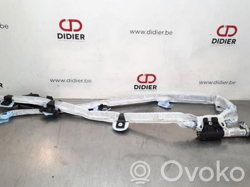 Airbag del techo   85696686008Q,30380710G,30380710G