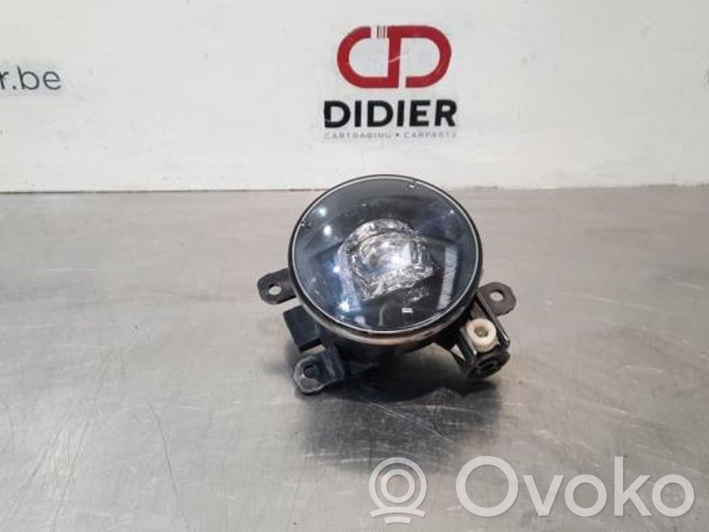 Luz de niebla delantera   261507170R
