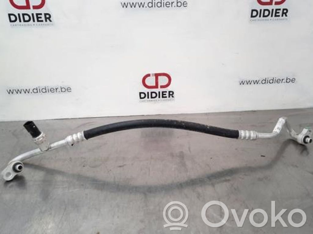 Conductă/furtun aer condiționat (A/C)   109215800F