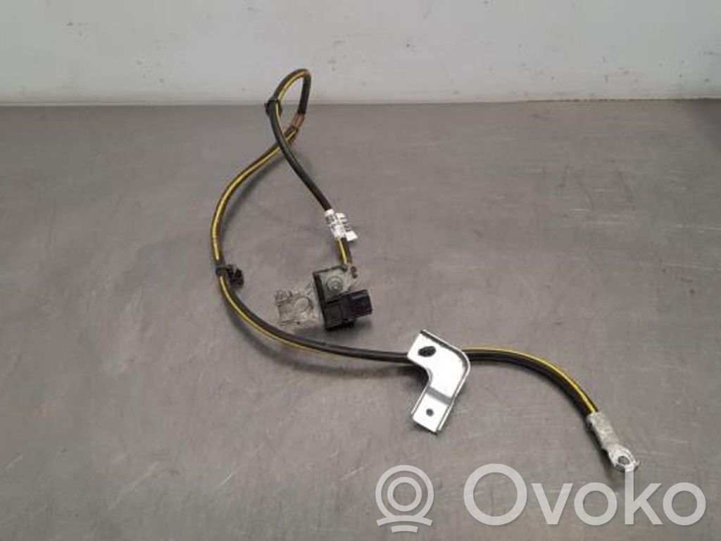 Nissan Leaf II (ZE1) Cablu cu bornă negativă (baterie) 
