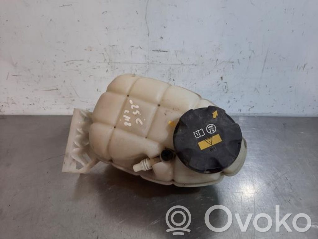 BMW 1 F20 F21 Vas expansiune/rezervor lichid de răcire 