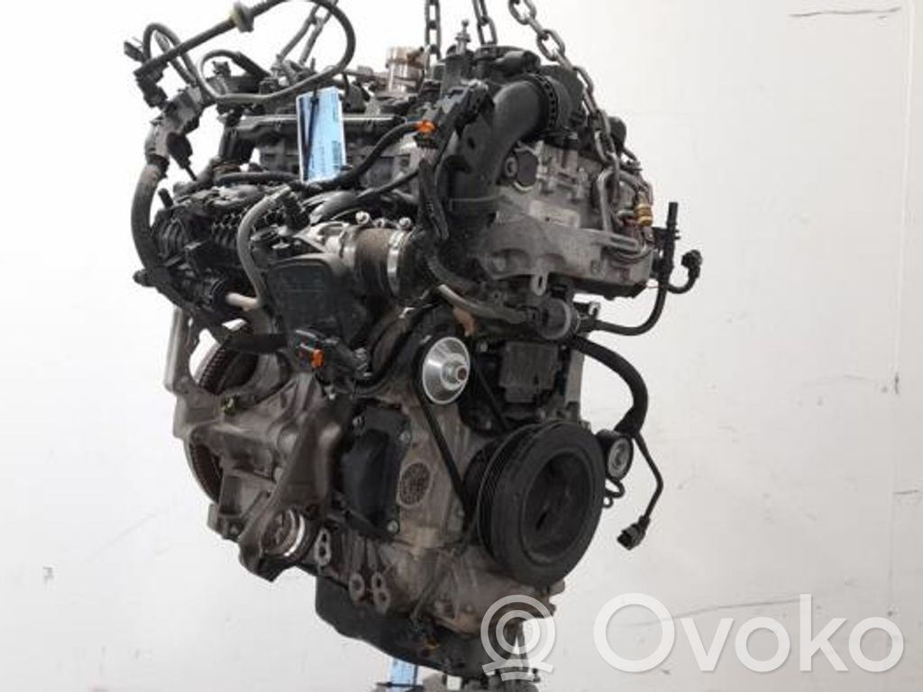 Motor   3647138