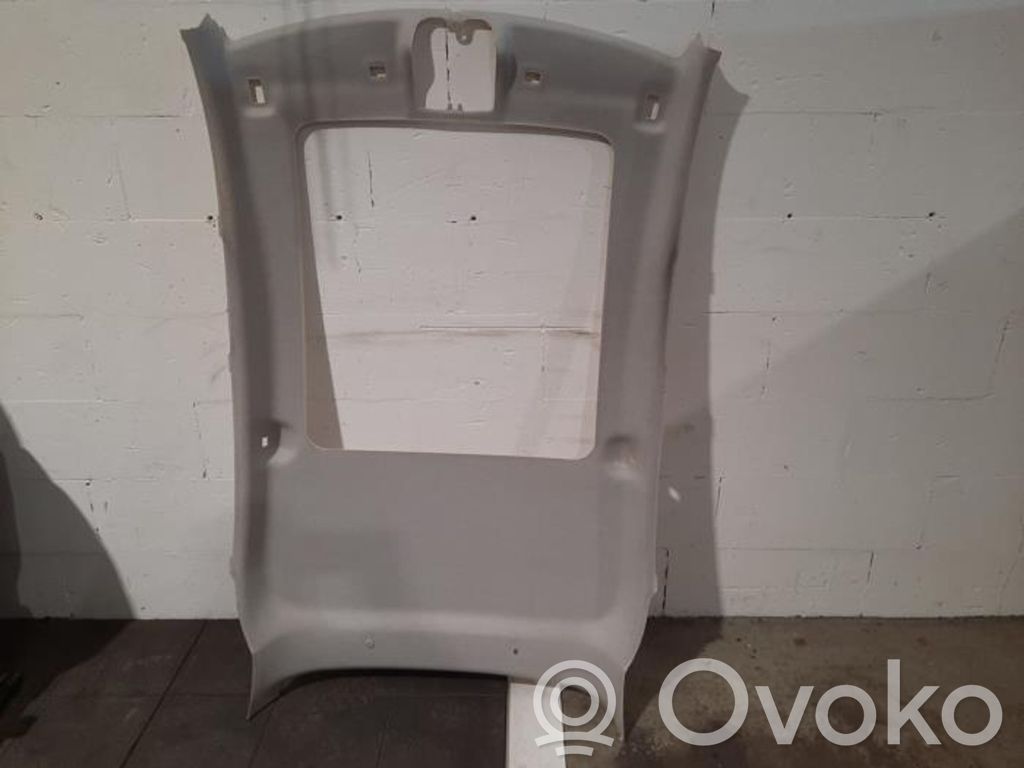 Citroen C3 Headlining 
