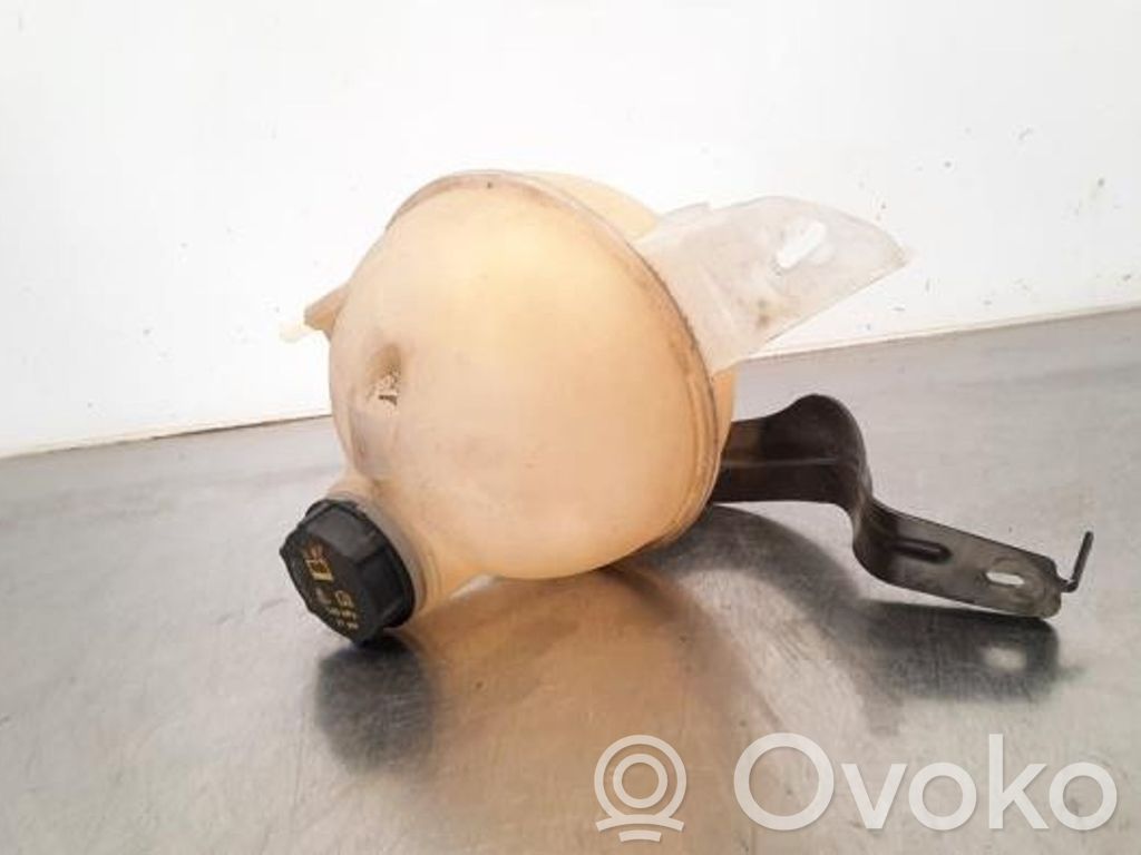 Ford Transit Custom Aušinimo skysčio išsiplėtimo bakelis 