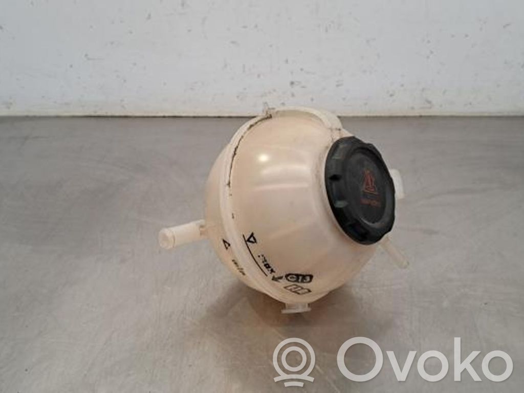 Skoda Fabia Mk3 (NJ) Vas expansiune/rezervor lichid de răcire
