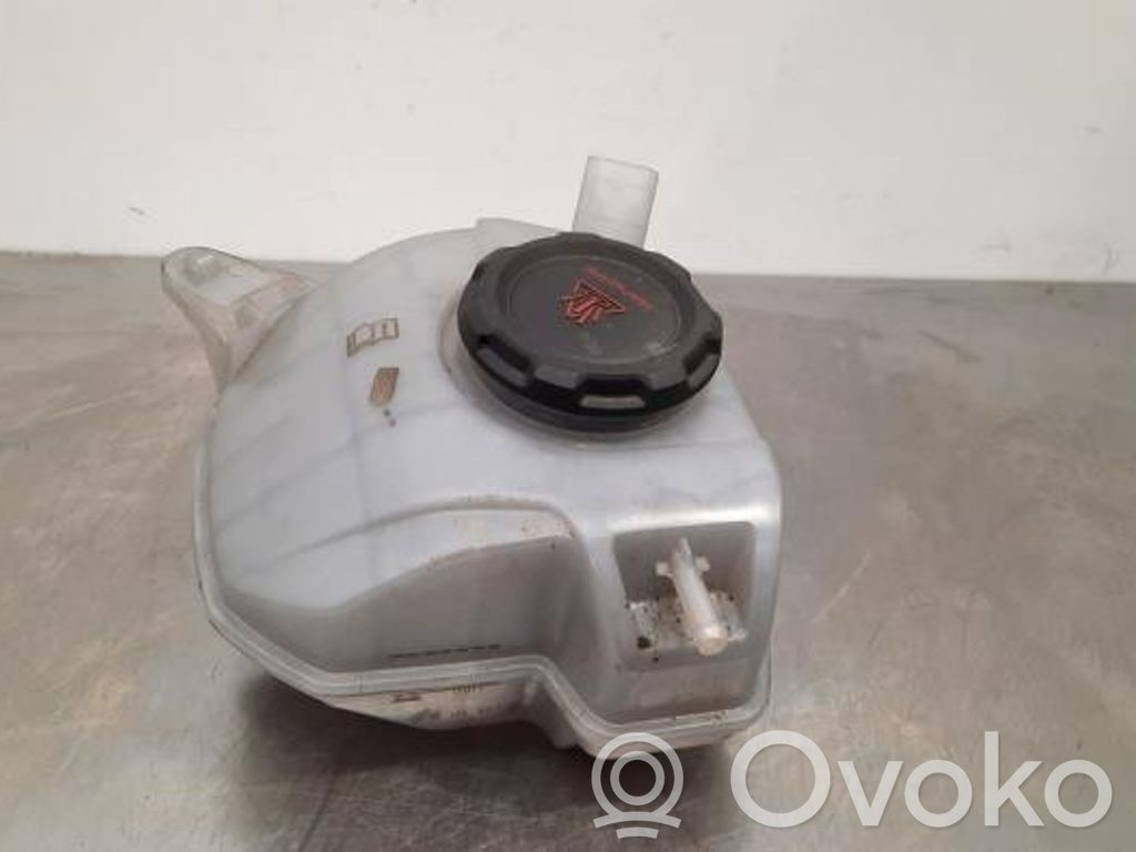 Seat Arona Serbatoio di compensazione del liquido refrigerante/vaschetta
