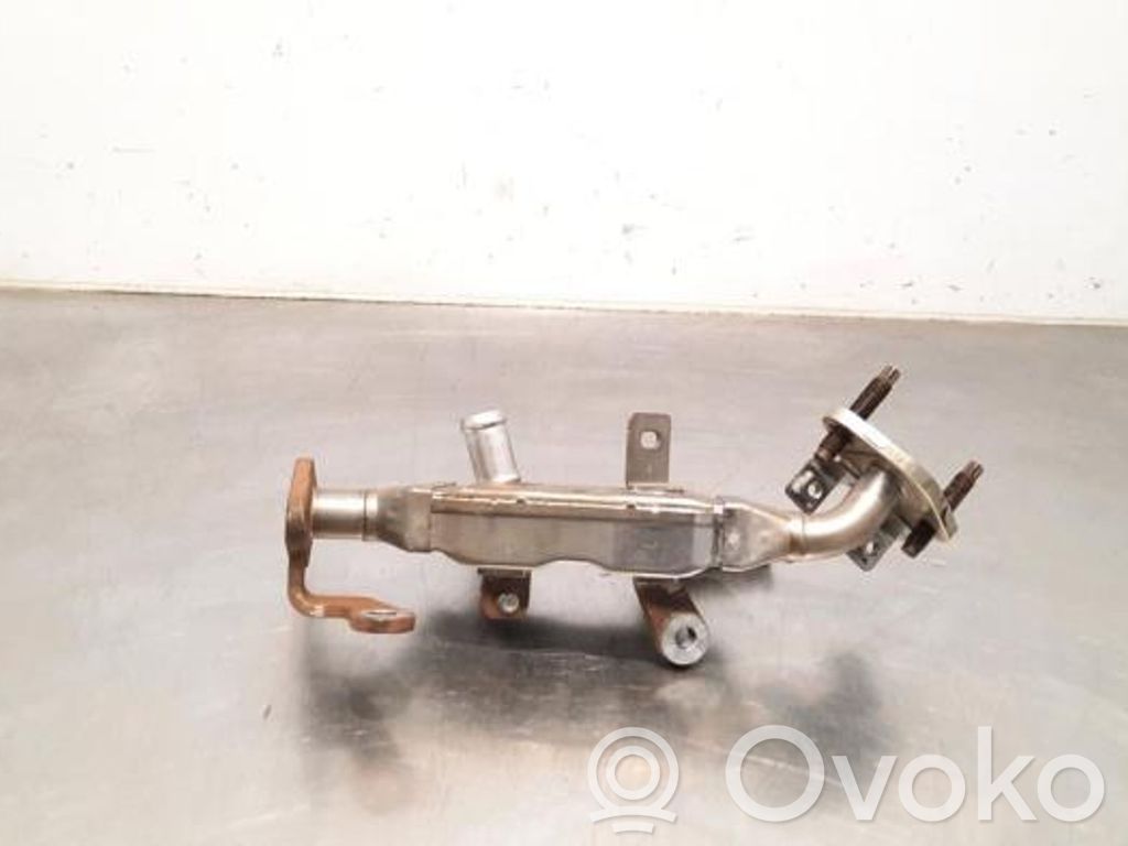 Valvola di raffreddamento EGR   147354PM1A,147354PM1A