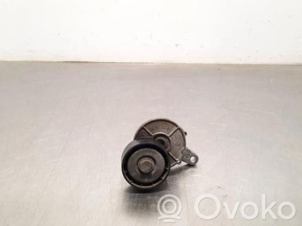 Tensor de la correa del alternador   304L903315F,304L903315F