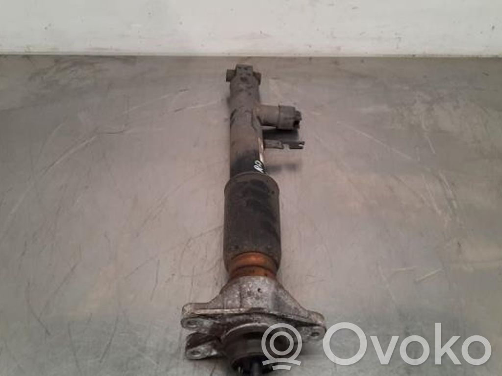 BMW 3 G20 G21 Ammortizzatore posteriore