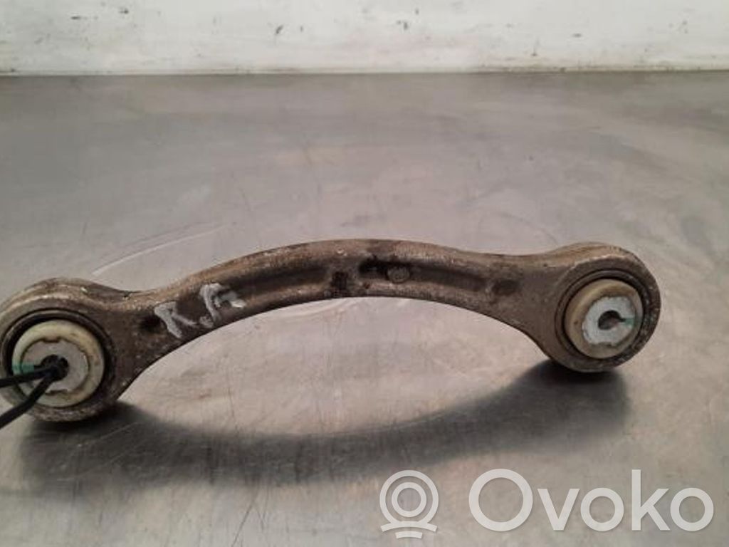 Brazo de suspensión trasero   69573,69573