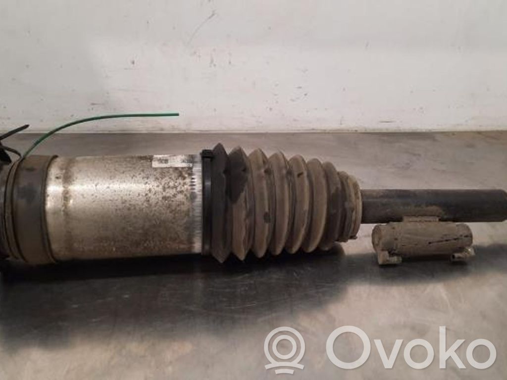 Tesla Model S Stoßdämpfer hinten 