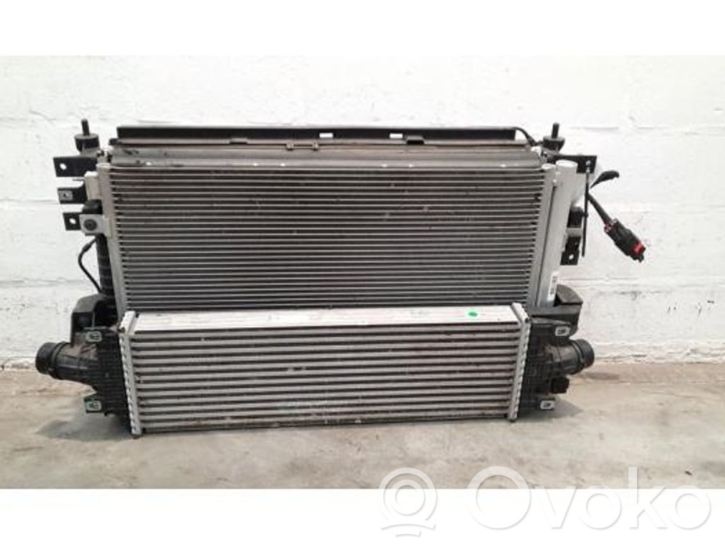 Citroen DS7 Crossback Radiator set 
