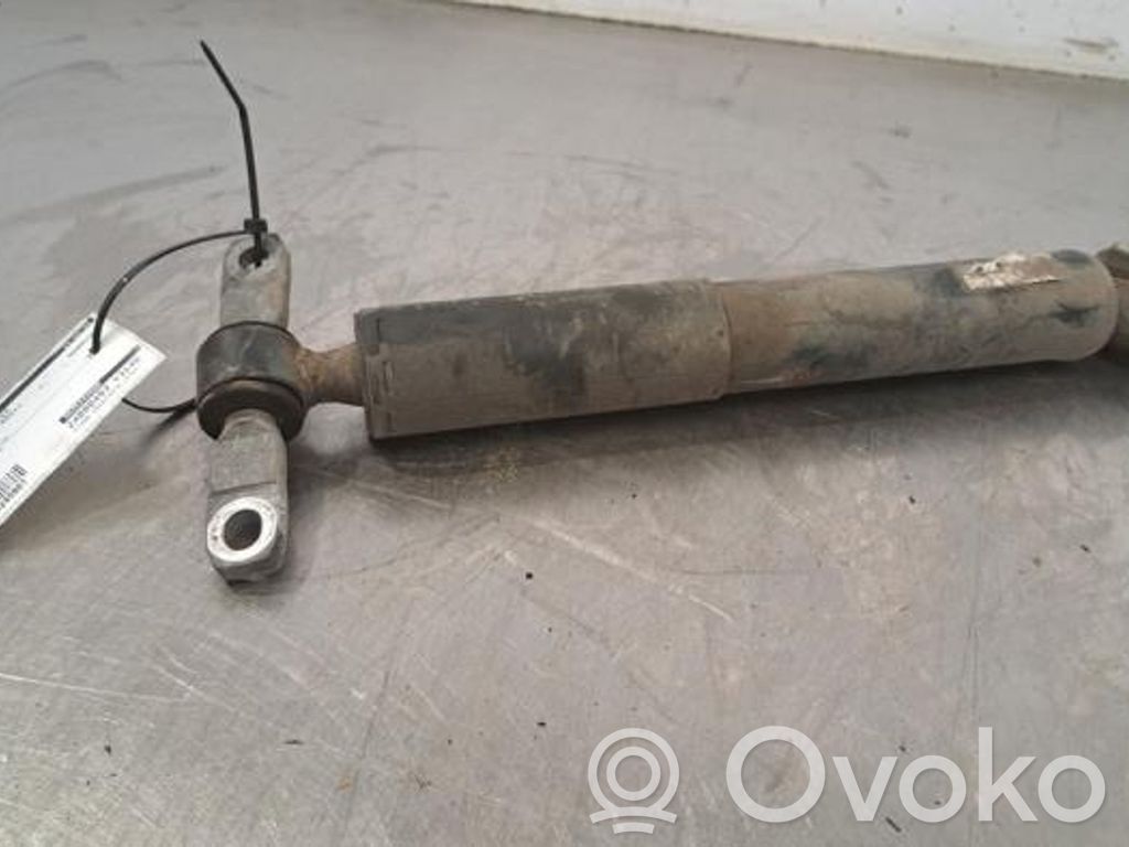 Citroen Berlingo Amortizor spate 