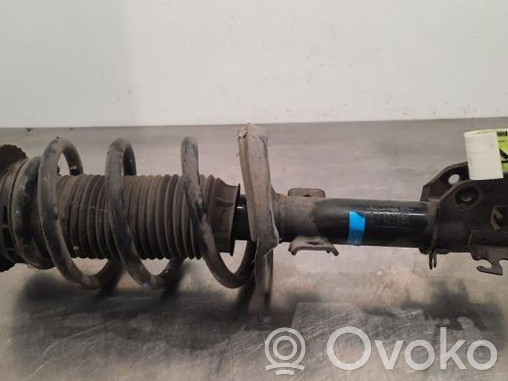 Stoßdämpfer vorne   543024506R,543024506R