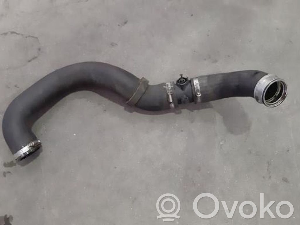 Volkswagen Transporter - Caravelle T6 Tubo flessibile intercooler