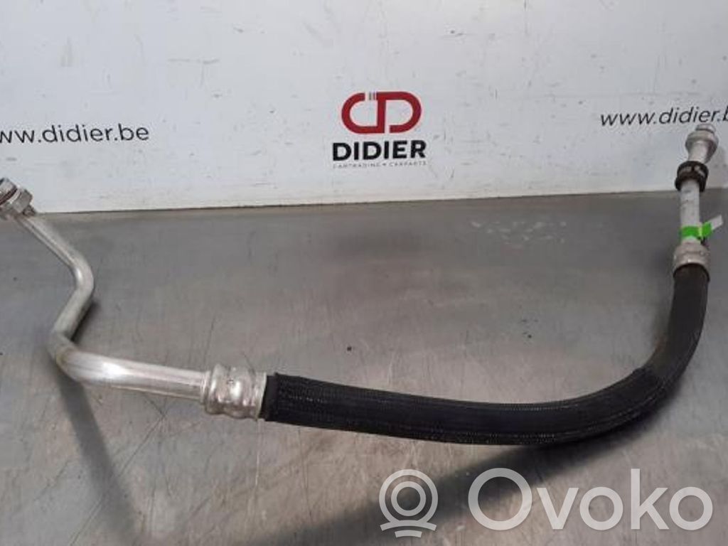 Ilmastointilaitteen putki (A/C)   924540424R
