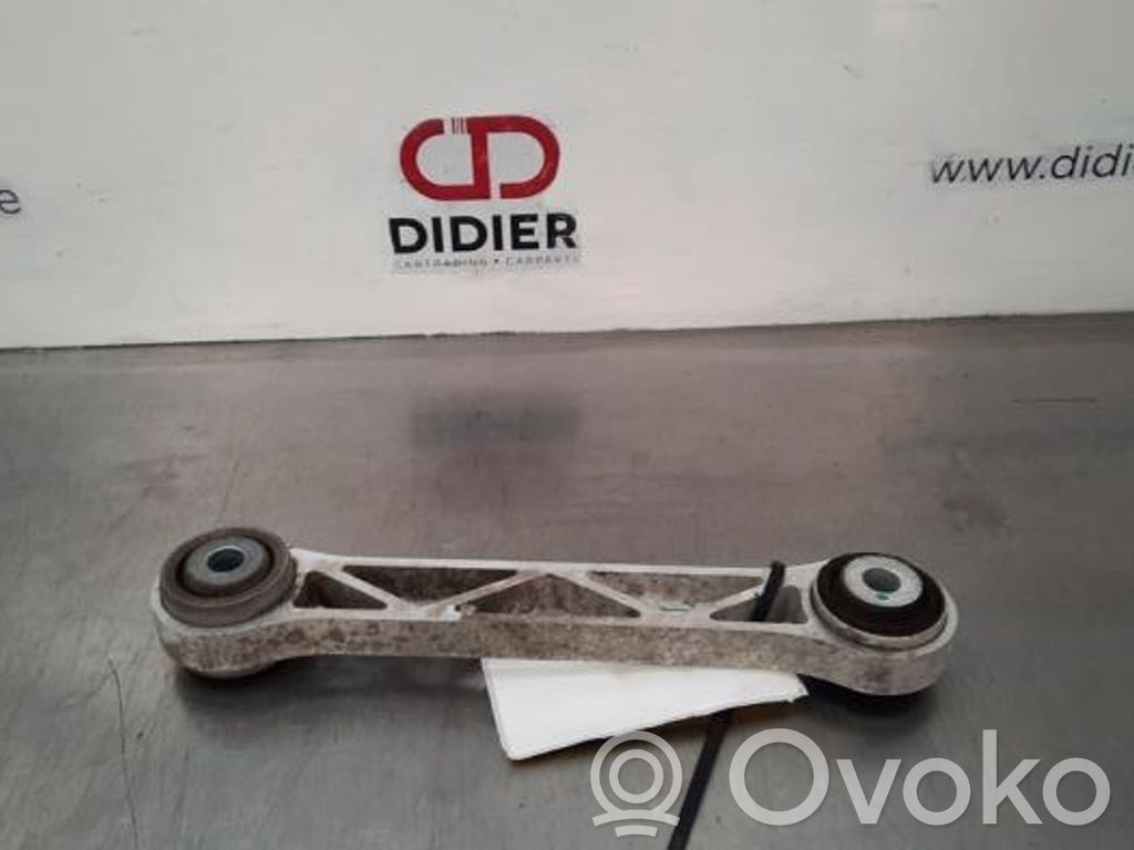 Brazo de suspensión trasero   104396400C