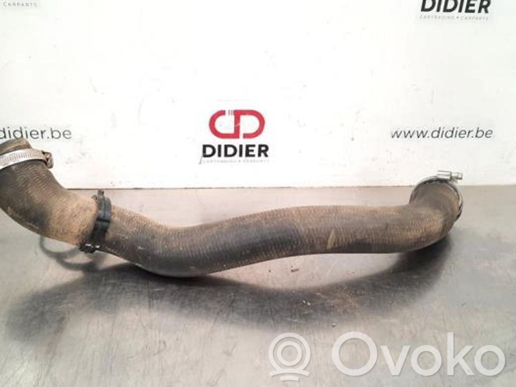 Furtun/conductă intercooler   9820100680