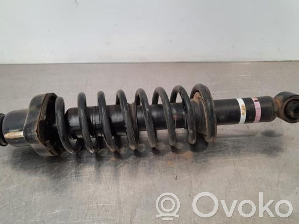 Amortiguador trasero   4162A496