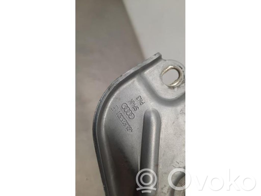 Audi A6 S6 C7 4G Dzinēja pārsega eņģe (-es) 