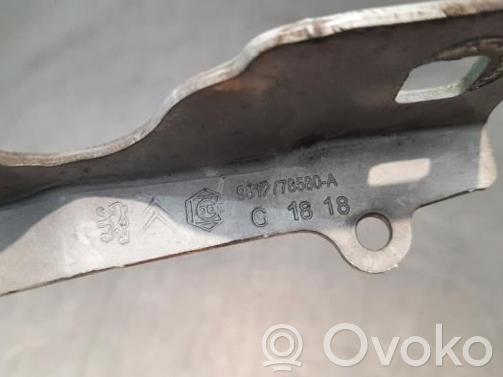 Citroen C3 Engine bonnet/hood hinges 
