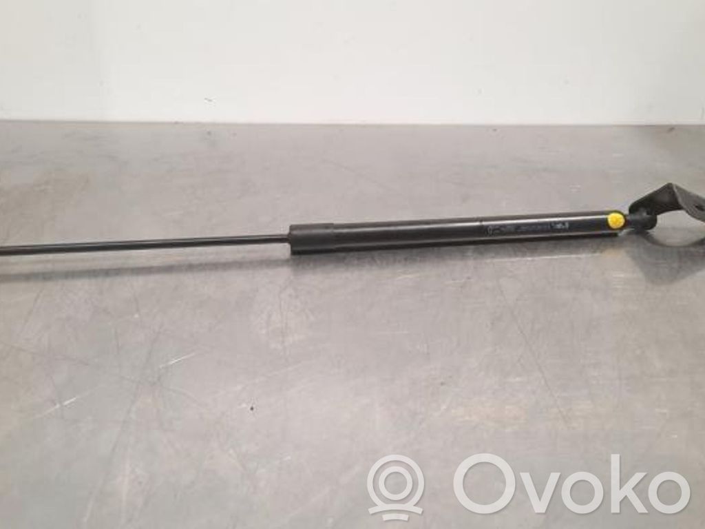 Peugeot 308 Jambe de force de hayon