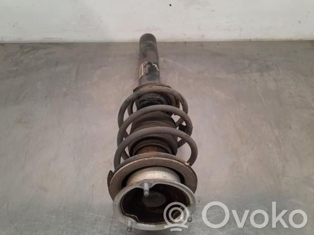 Stoßdämpfer vorne   3131678601801,3131678601801
