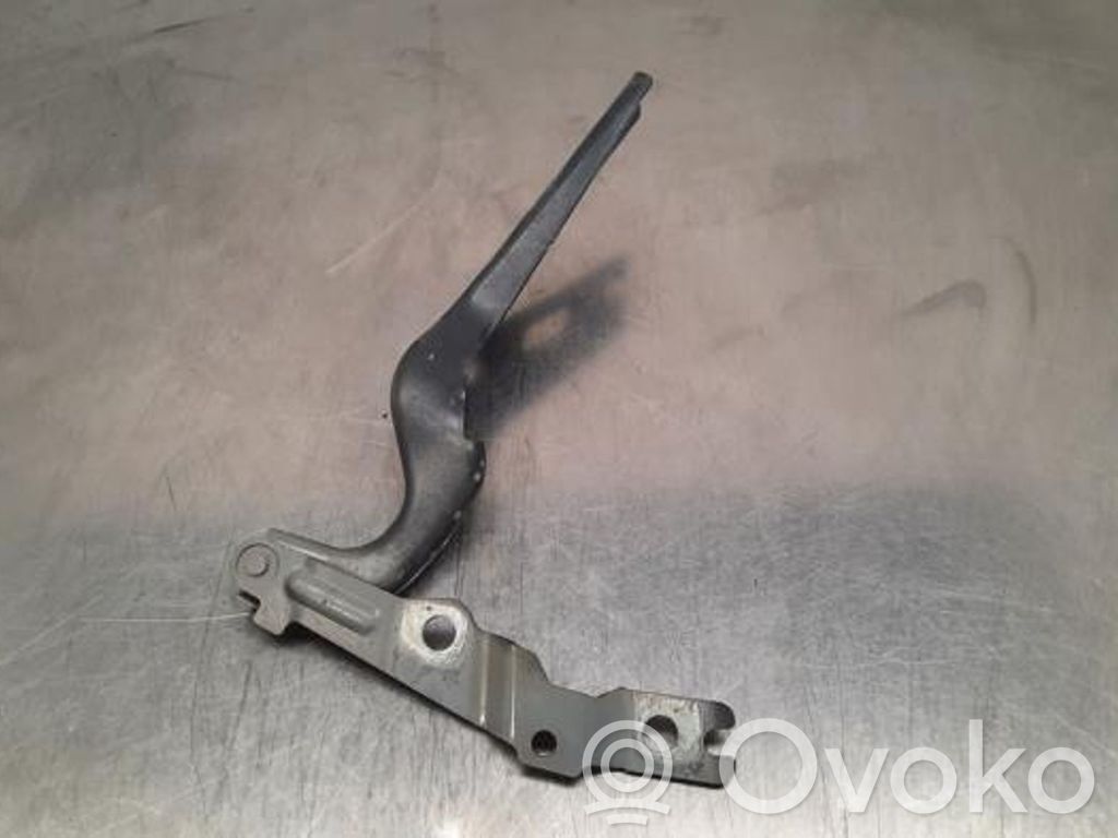 Volkswagen Polo VI Balamale capotă 