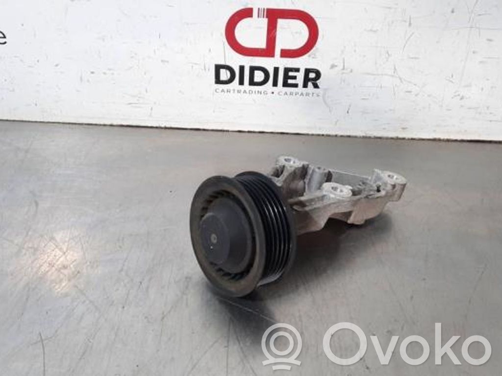 Land Rover Range Rover Sport L494 Întinzător curea alternator