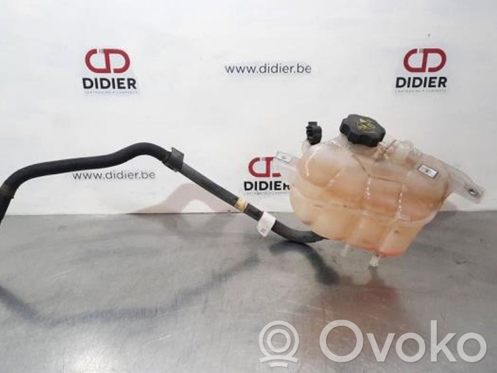 Alfa Romeo Giulia Serbatoio di compensazione del liquido refrigerante/vaschetta 