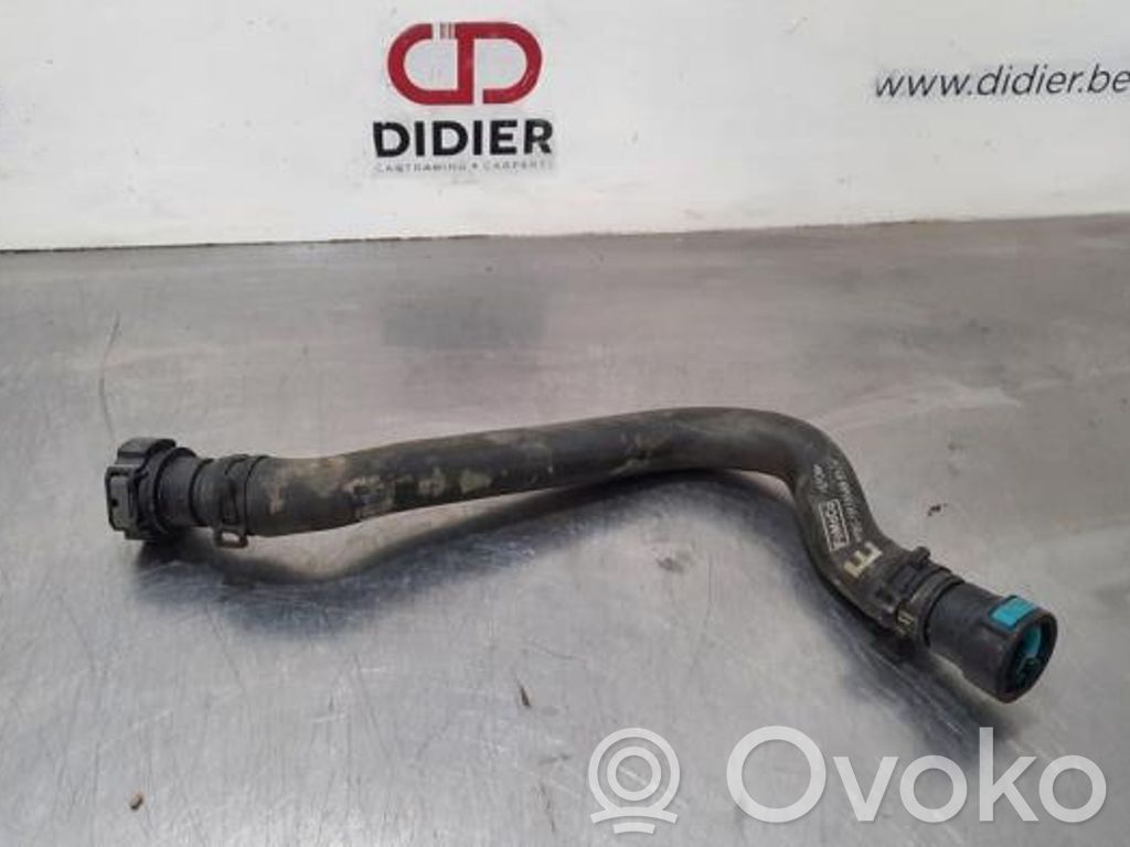 Ford Fiesta Przewód / Wąż chłodnicy 