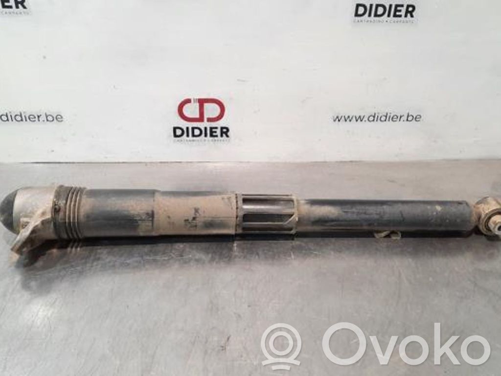 Volkswagen Tiguan Stoßdämpfer hinten