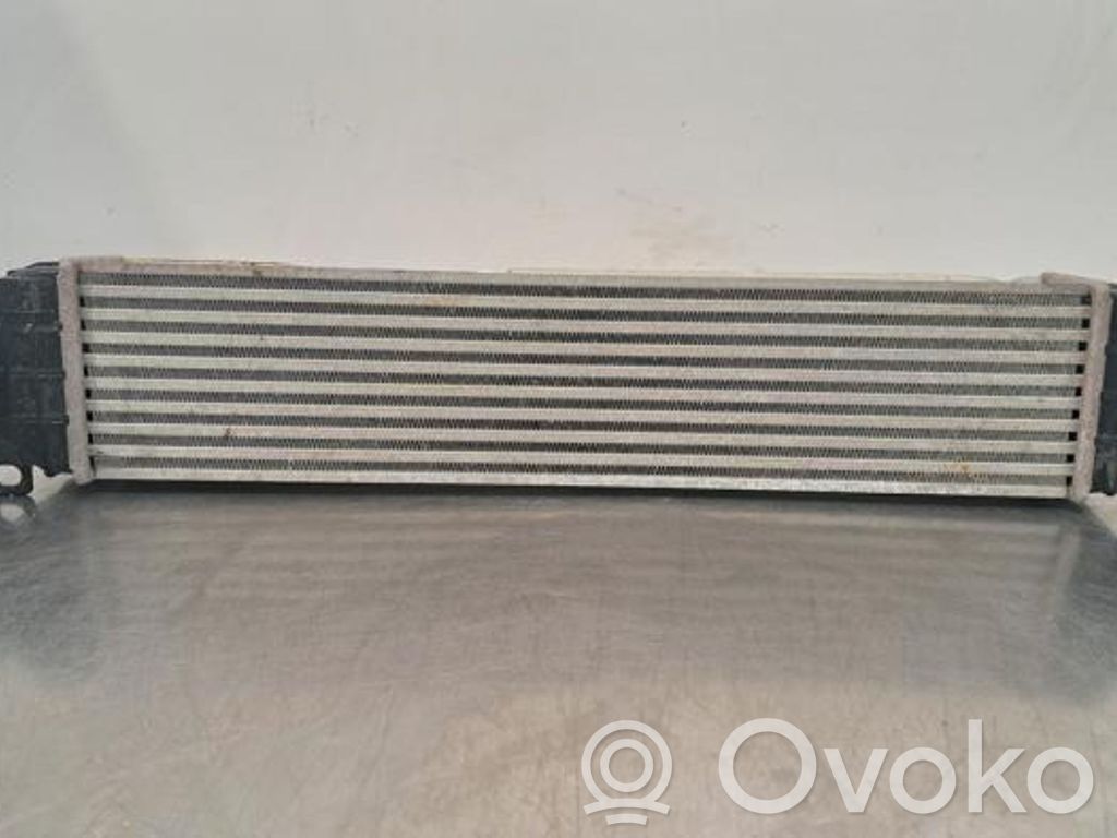 Intercooler radiator   10245769,10245769