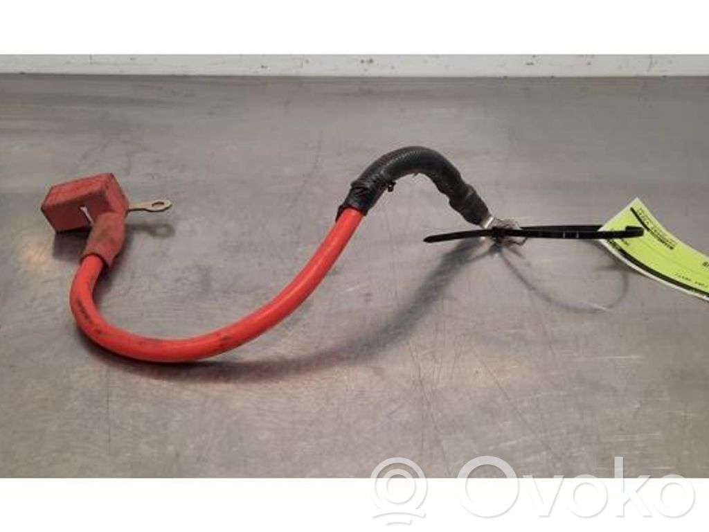 Ford Ranger IV Cable negativo de tierra (batería) 