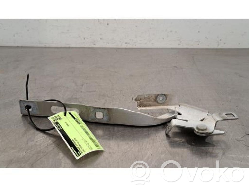 Opel Vivaro Dzinēja pārsega eņģe (-es) 