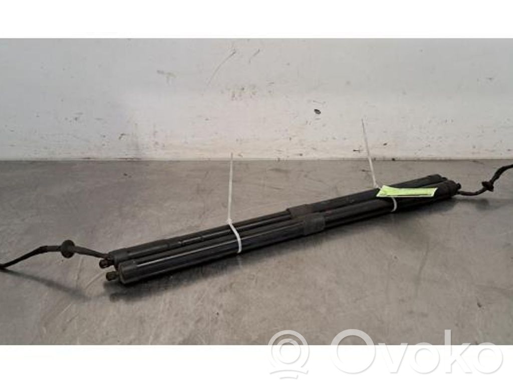 Land Rover Range Rover Sport L494 Ammortizzatore portellone posteriore/bagagliaio 