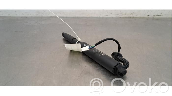 Tesla Model 3 Tailgate strut 