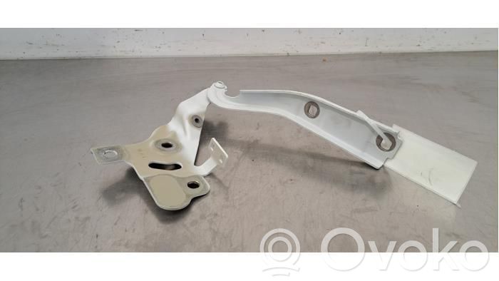 Audi e-tron Engine bonnet/hood hinges 