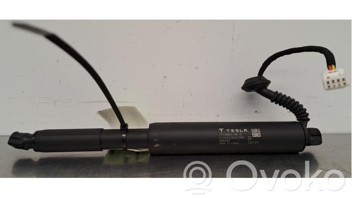 Tailgate strut   171486600D,171486600D