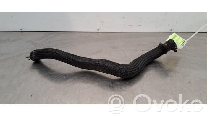 Engine coolant pipe/hose   217415MS1A