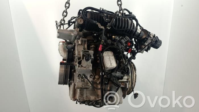 BMW 1 F40 Variklis 