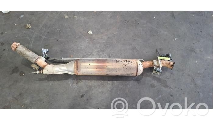 Peugeot Expert Filtro antiparticolato catalizzatore/FAP/DPF