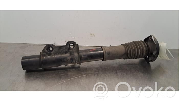 Amortizor față   A9073206001