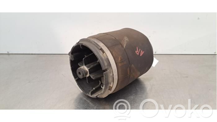 Land Rover Range Rover Sport L494 Borsa per sospensione pneumatica 