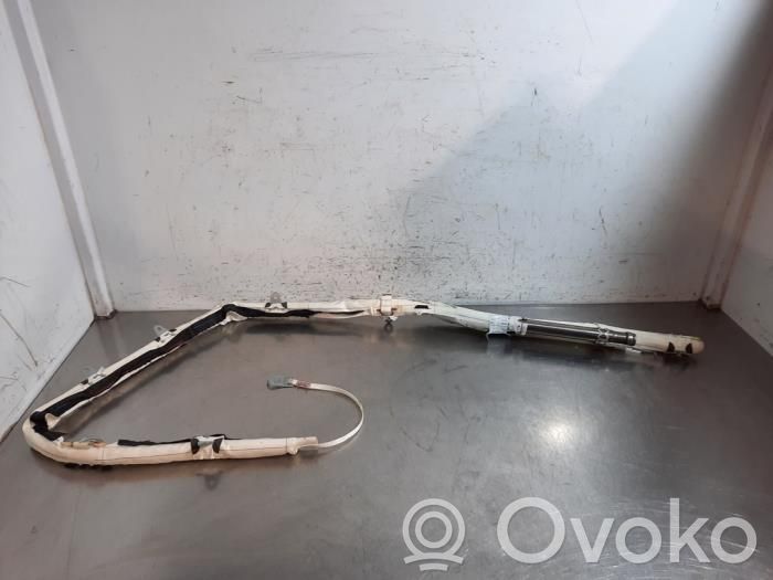 Ford S-MAX Airbag del techo 